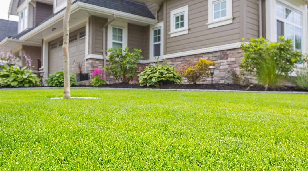 Beautiful lawn | Storm - The Lawn Pro of The Fox Cities LLC