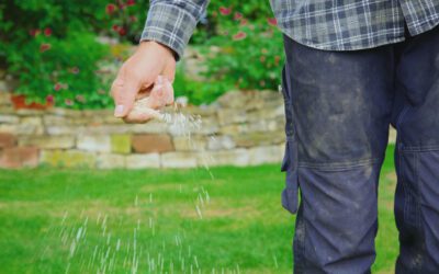 Preparing Your Lawn for Winter: A Seven Step Process (Step #4)