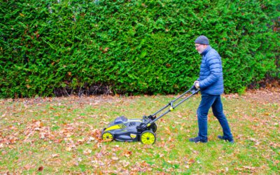 Preparing Your Lawn for Winter: A Seven Step Process (Step #6)