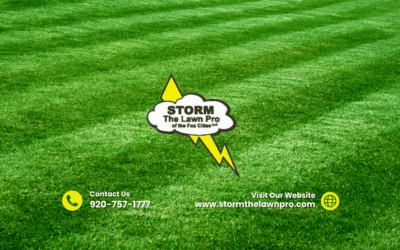 STORM Provides Highly Reliable Lawn Care in Appleton and Surrounding Fox Cities