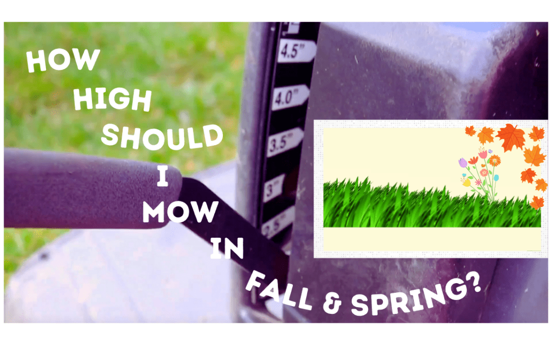 How High Should I Mow in the Spring and Fall ?